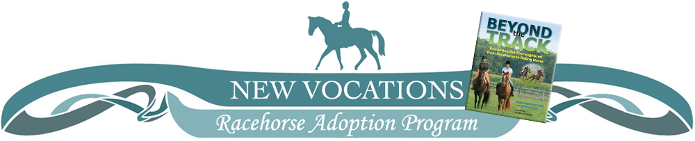 New Vocations Racehorse Adoption has a new "champion"! Metro Meteor, the Painting Racehorse, will be on the TODAY SHOW April 4, 2013. Tune in and check it out!