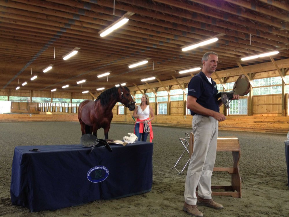 Schleese demonstrates the difference in various saddle trees and their impact on horse and rider.