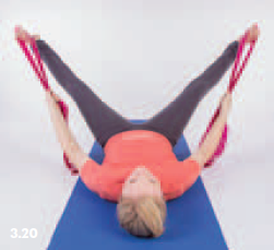 The Adductor Stretch from THE RIDING DOCTOR by Dr. Beth Glosten.
