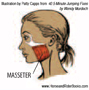 The masseter muscle is the strongest muscle in your body.