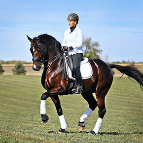 Grand Prix dressage rider Yvonne Barteau and GP Raymeister.