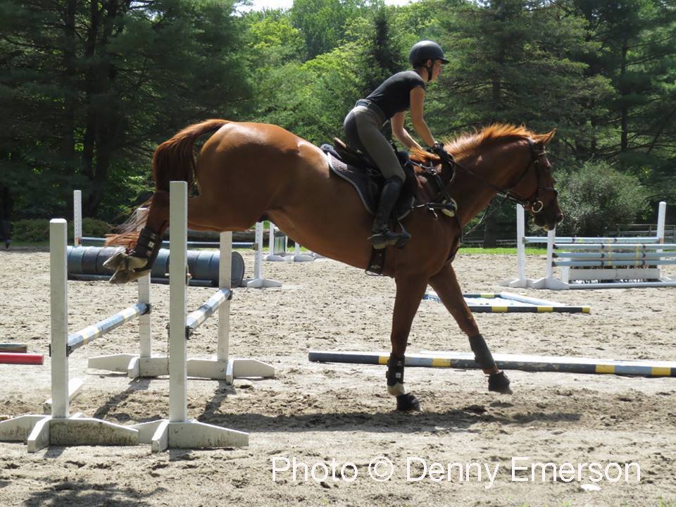 TSB Publications Assistant Lila Gendal on the OTTB Rocky.