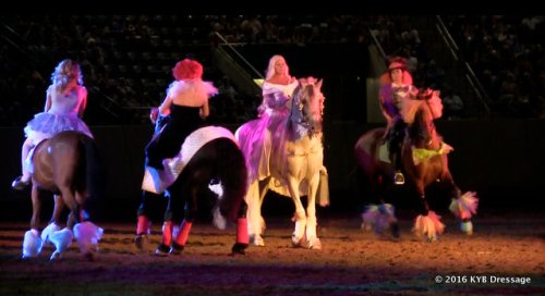 Yvonne and her students put on fabulous equine theater productions at major events across the country throughout the year.