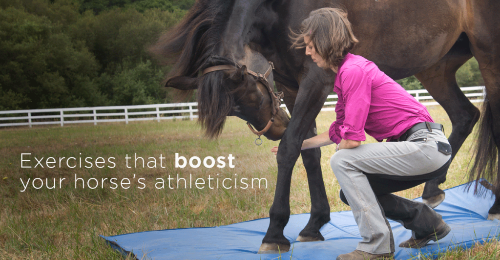 Finally! Resolve Your Horse’s Posture Problems and Poor Movement Patterns