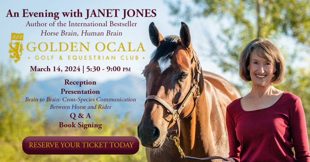 Learn How Horse Brains Differ from Human Brains at Golden Ocala